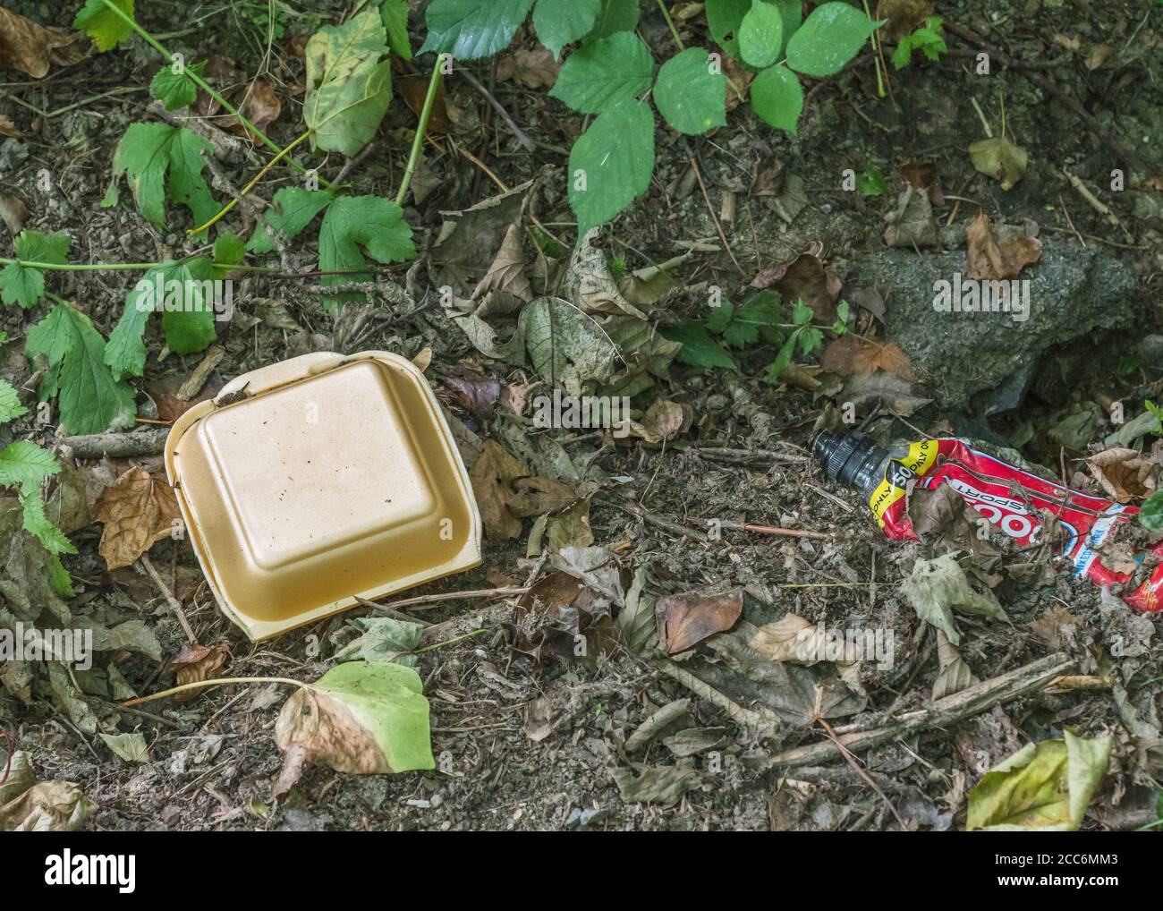 Weggeworfene Styrol-Lebensmittelbox zum Mitnehmen in Hecken. Für Einmalkunststoffe, Kunststoffverschmutzung Großbritannien, Lebensmittelverpackungen zum Mitnehmen, Fast-Food-Müll. Stockfoto