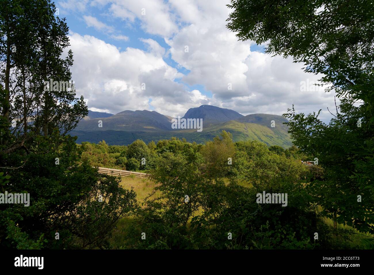 Fernansicht von Ben Nevis durch Baumzweige Fort William Schottland Stockfoto