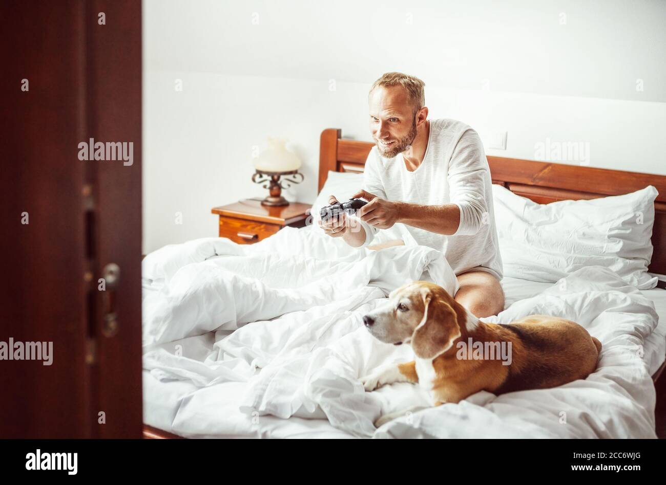 Mann spielt PC-Spiele sitzen im Bett am Morgen. Sein Beagle Hund beobachtet das Spiel mit sehr Interesse. Stockfoto