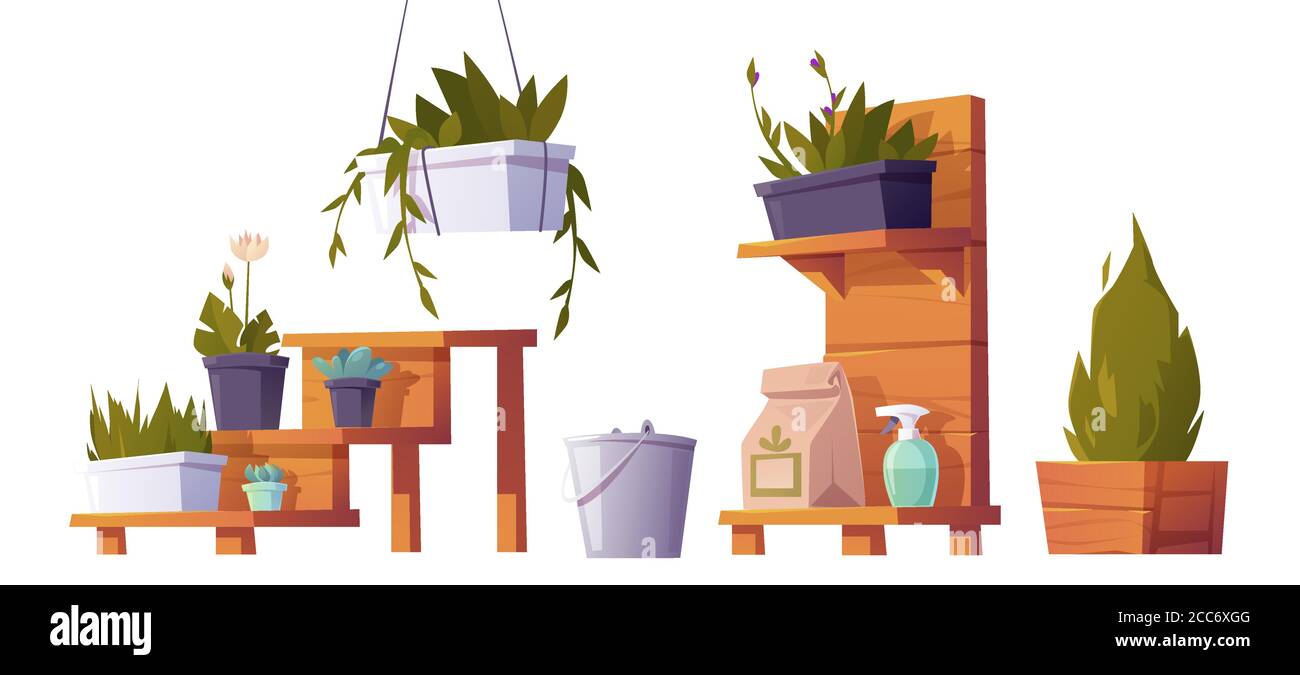 Grüne Pflanzen in Töpfen auf Holzständer für Gewächshaus. Vector Cartoon Satz von Blumen, Sukkulenten und Pflanzen für heiße Haus, Eimer und Sprühflasche. Glashaus Ausrüstung isoliert auf weißem Hintergrund Stock Vektor