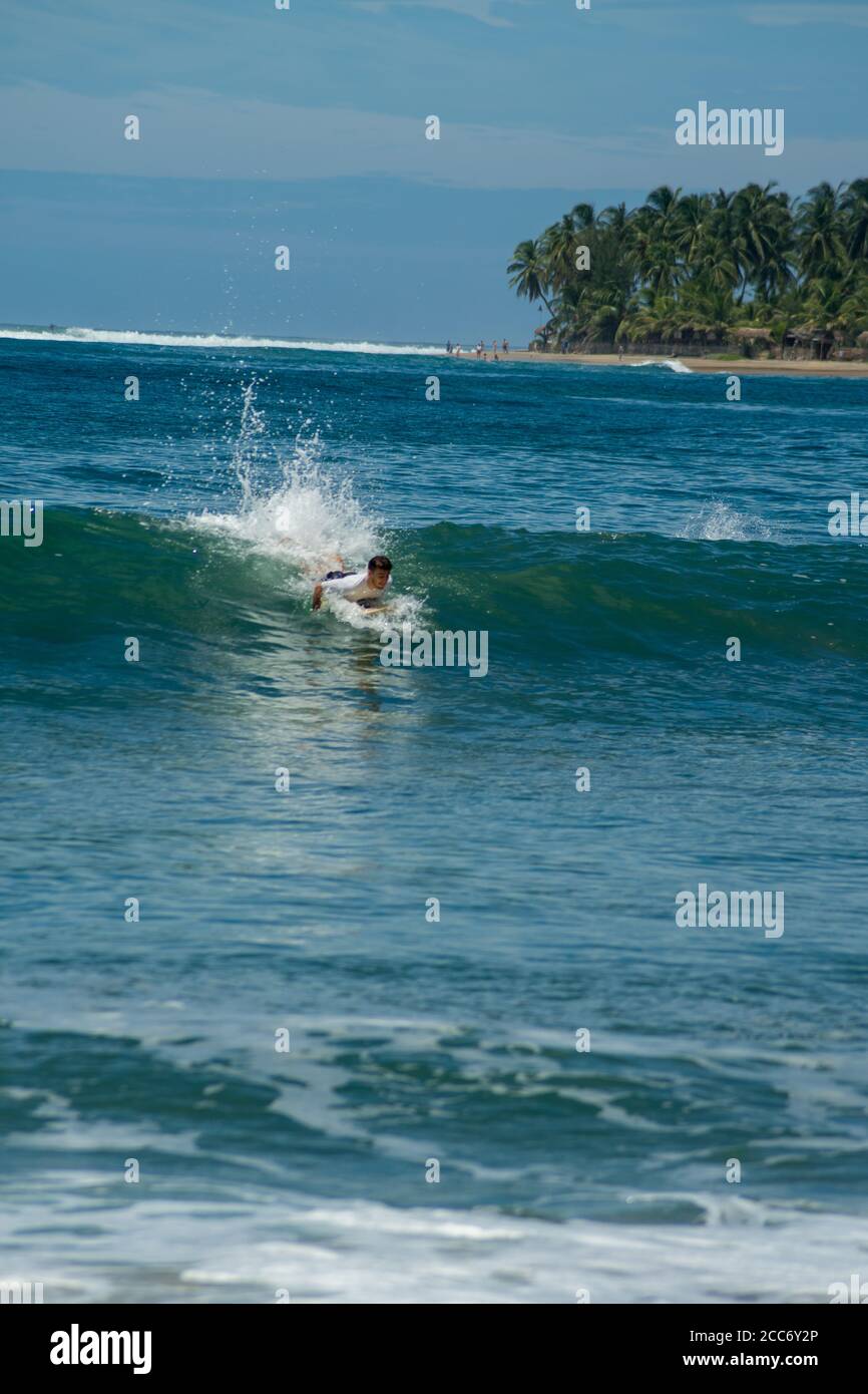 Surfer auf dem Meer, Palmen im Hintergrund, blauer Himmel. Arugam Bay, Sri Lanka. Hochformat Stockfoto