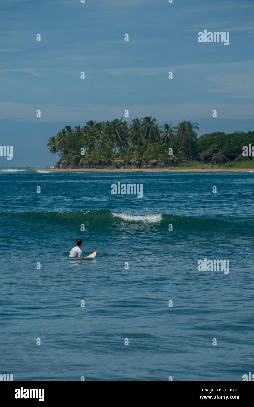 Surfer auf dem Meer, Palmen im Hintergrund, blauer Himmel. Arugam Bay, Sri Lanka. Hochformat Stockfoto