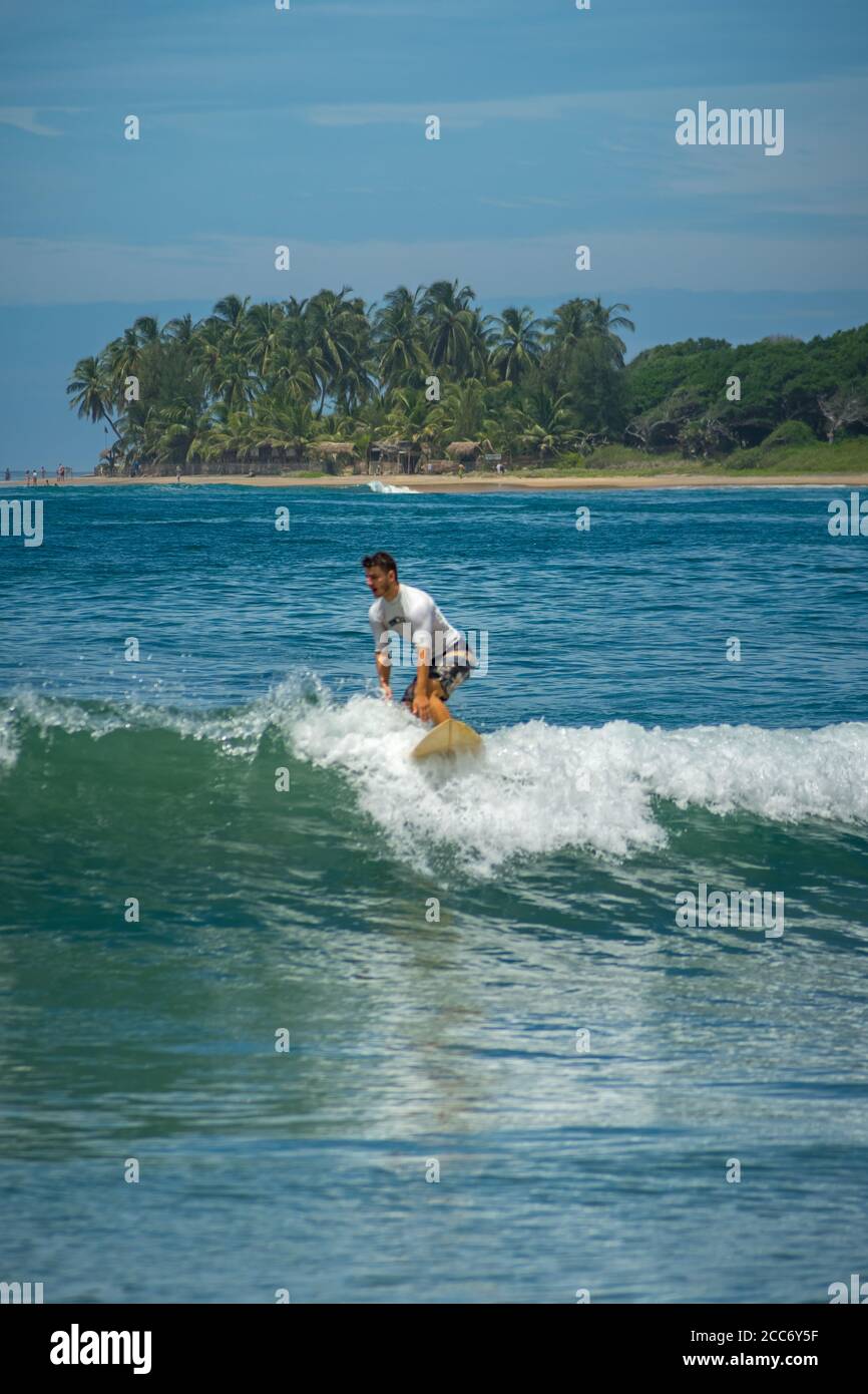 Surfer auf dem Meer, Palmen im Hintergrund, blauer Himmel. Arugam Bay, Sri Lanka. Hochformat Stockfoto