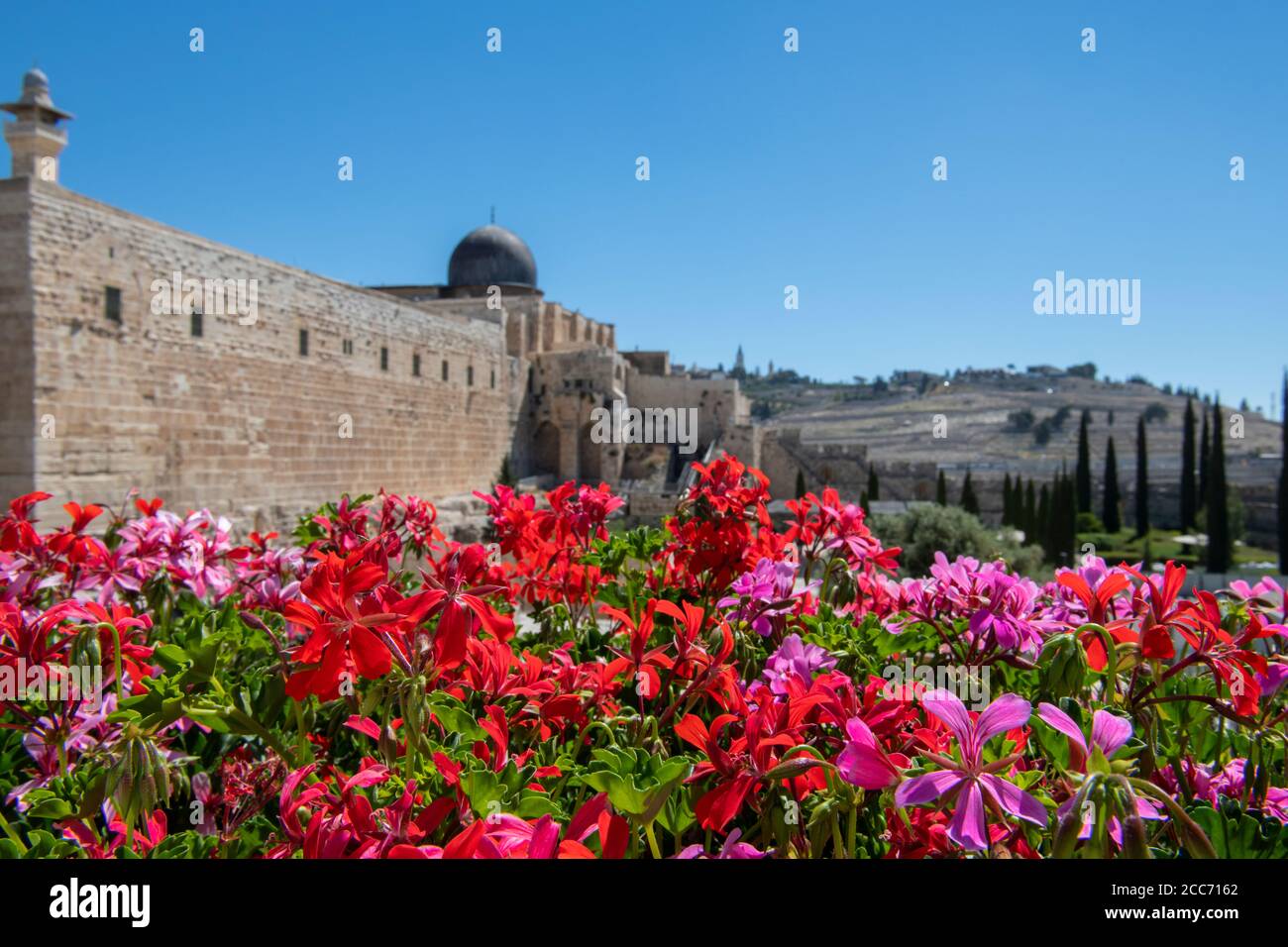 Israel, Jerusalem, Jerusalem Archäologischer Park. Altstadt, Temple Mount Plaza. Al-Aqsa Moschee drittheiligste Stätte im Islam. Stockfoto