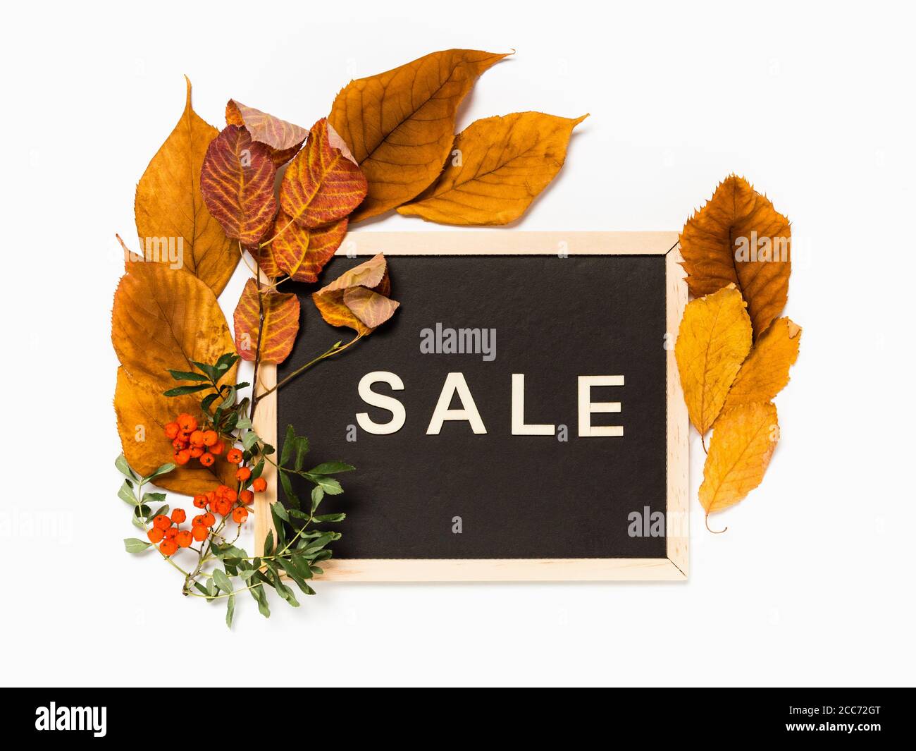 Herbstverkauf: Tafel mit Wort Verkauf in Holzbuchstaben eingerahmt mit gelben Herbstblättern und Ebereschen Ästen und Beeren auf weißem Hintergrund. Saisonal s Stockfoto