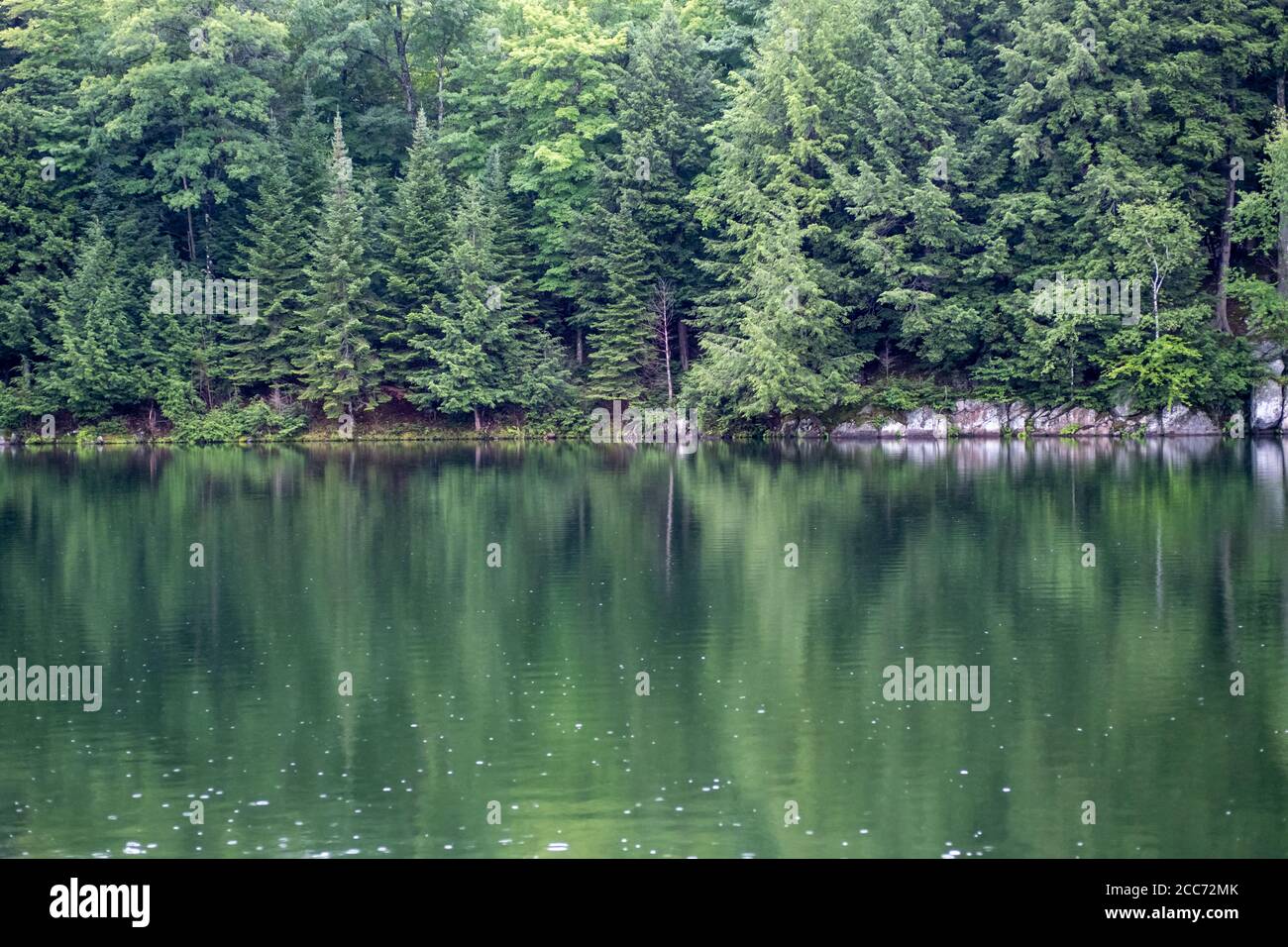 Ein bewaldeter Bereich voller meist immergrüner Bäume spiegelt seine Muster und Farbe auf einen stillen See darunter wider. Stockfoto