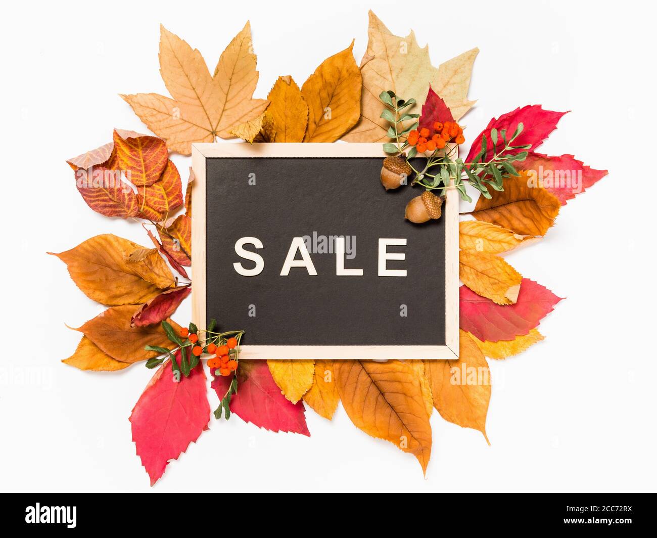 Herbstverkauf: Tafel mit Wort Verkauf in Holzbuchstaben auf einem Stapel von roten und gelben Herbstblättern auf weißem Hintergrund. Saisonaler Verkauf und Rabattangebot Stockfoto