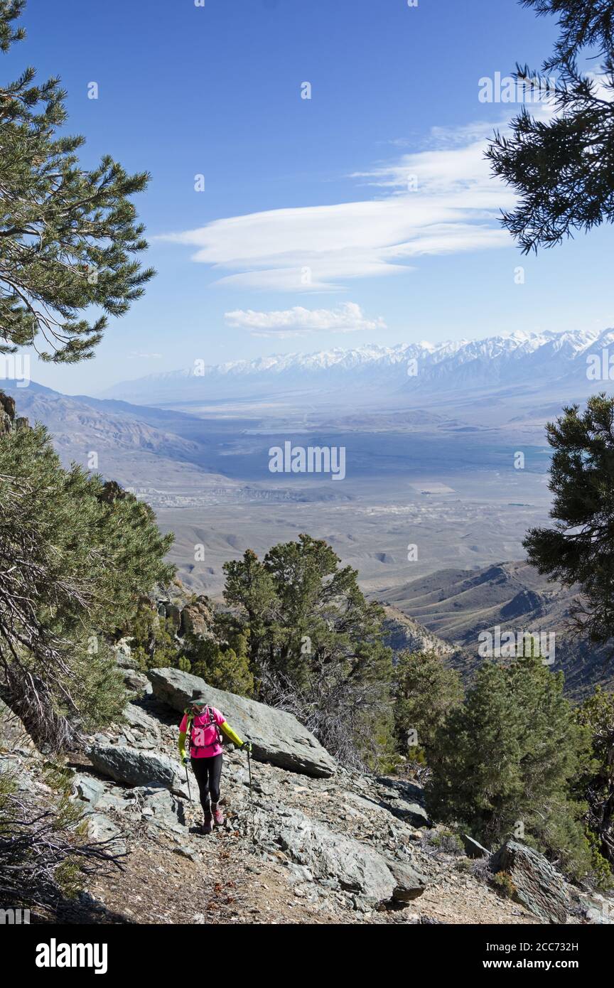 Frau beim Wandern auf dem Pat Keyes Trail in den Inyo Mountains Von Kalifornien mit dem Owens Valley und der Sierra Nevada Hinter ihr Stockfoto