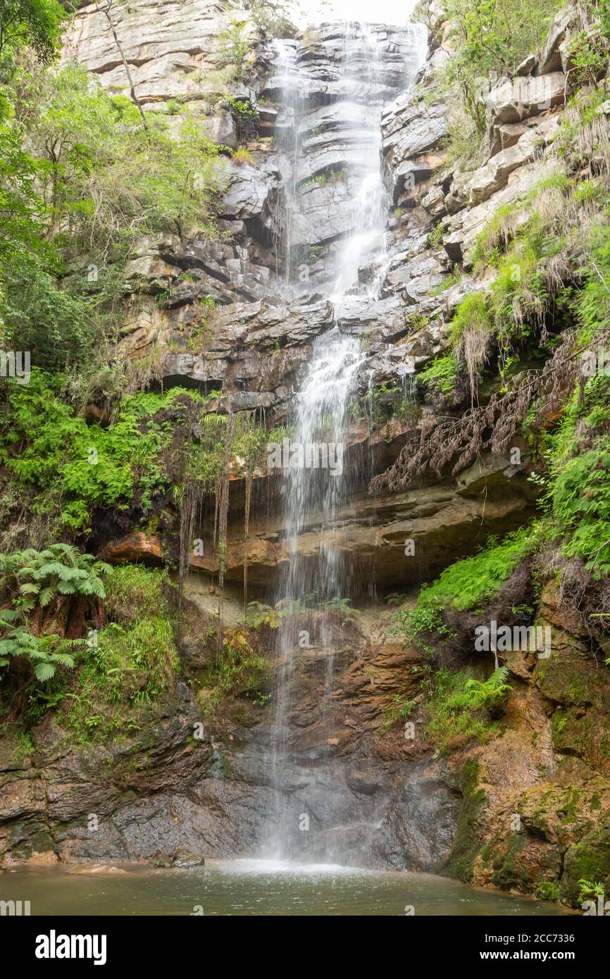 Die Samango Falls im Oribi Gorge Nature Reserve in der Nähe von Port Shepstone, KwaZulu-Natal, Südafrika Stockfoto