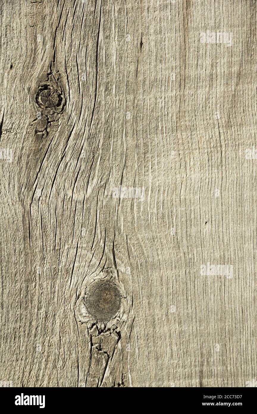 Verwittert verknotet alten grauen Holz Hintergrund Textur Bild Stockfoto