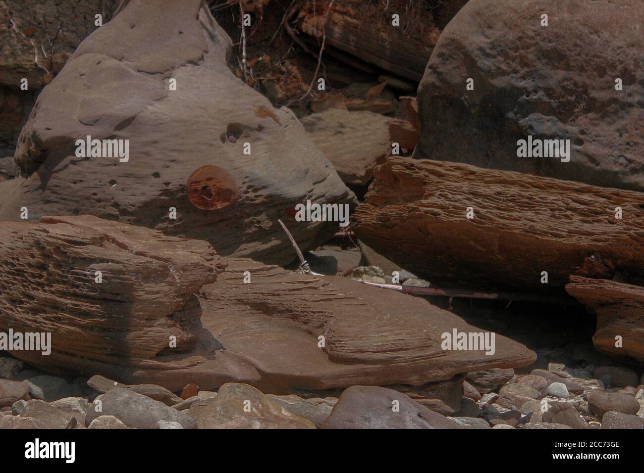 Steine am Strand Stockfoto