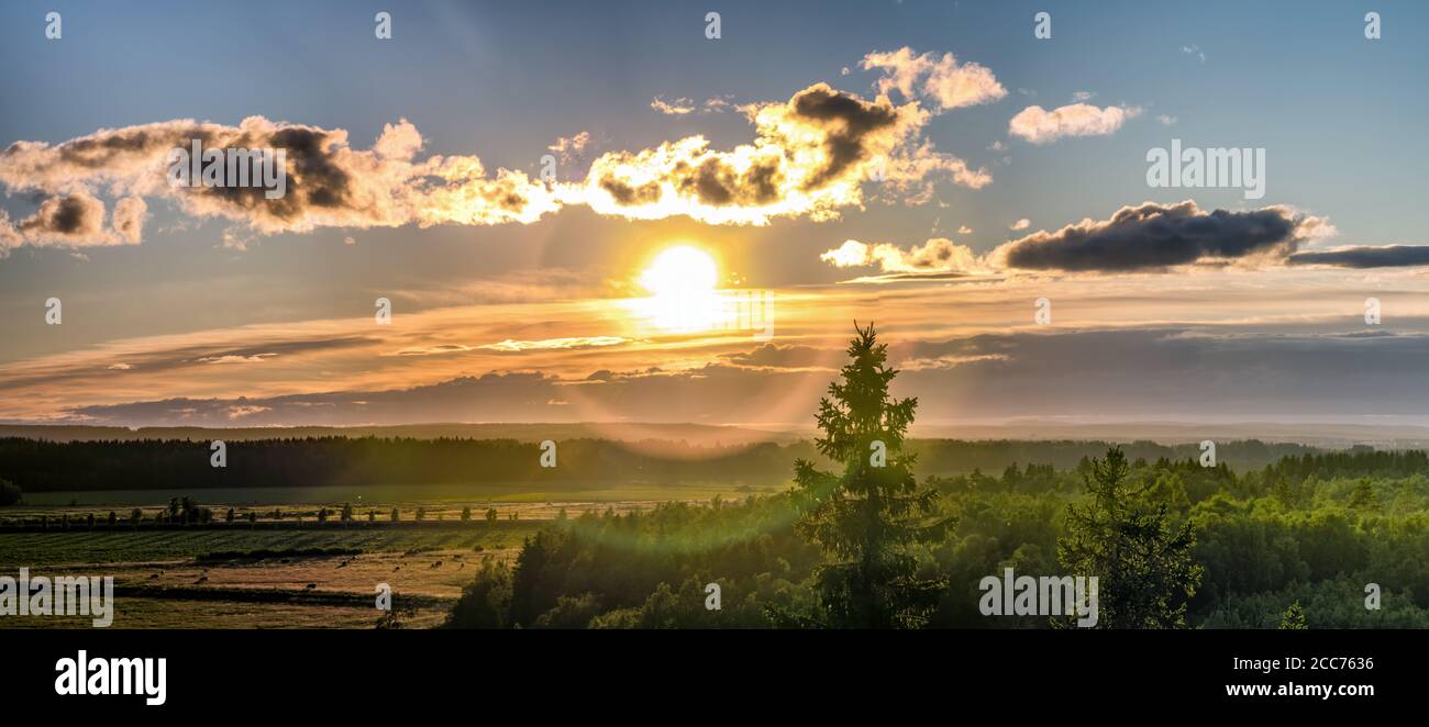 Luftpanorama des Sonnenuntergangs über hellgrünem nordskandinavischen Wald - runde Doppellinsenfackel, Wolken, Tannenspitze, warmer nebliger Abend, gelbe r Stockfoto
