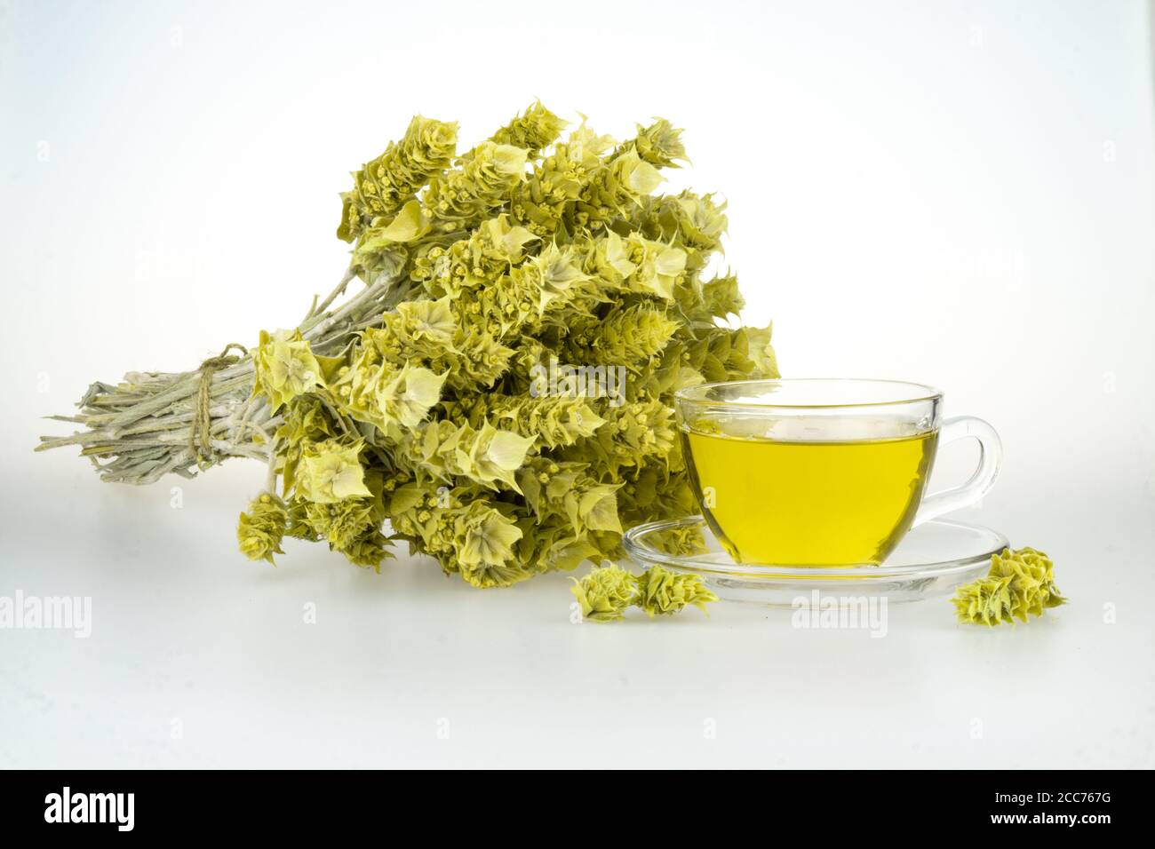 Bund Bergtee Malotira und Tasse mit heißem Tee. Griechischer traditioneller Kräutertee in transparenter Tasse. Bergtee-Sideritis. Natürliche griechische Kräuter. Stockfoto