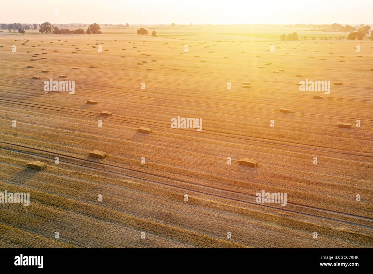 Luftaufnahme von rechteckigen Heuballen auf Stoppeln bei Sonnenuntergang, Erntezeit Stockfoto