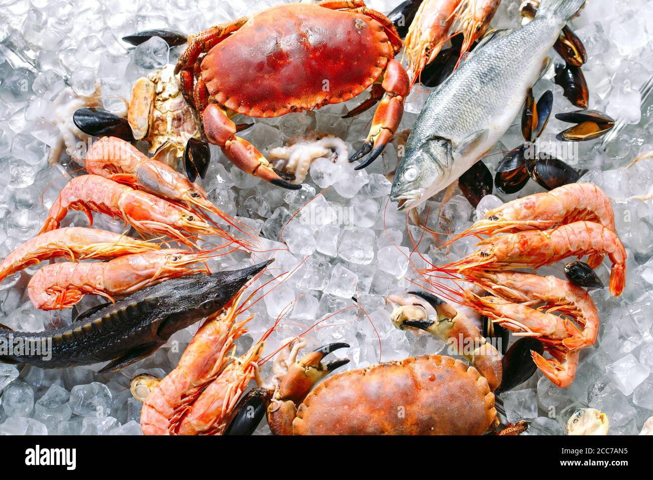 Meeresfrüchte auf Eis. Krabben, Stör, Muscheln, Garnelen, Rapana, Dorado, auf weissem Eis. Stockfoto