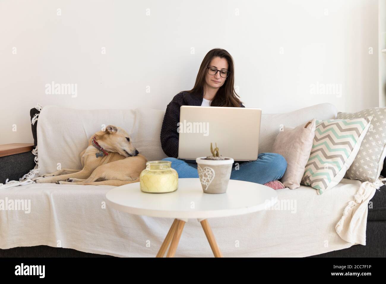 Junge Frau mit einem Laptop zu Hause arbeiten in Begleitung ihres Hundes. Stockfoto