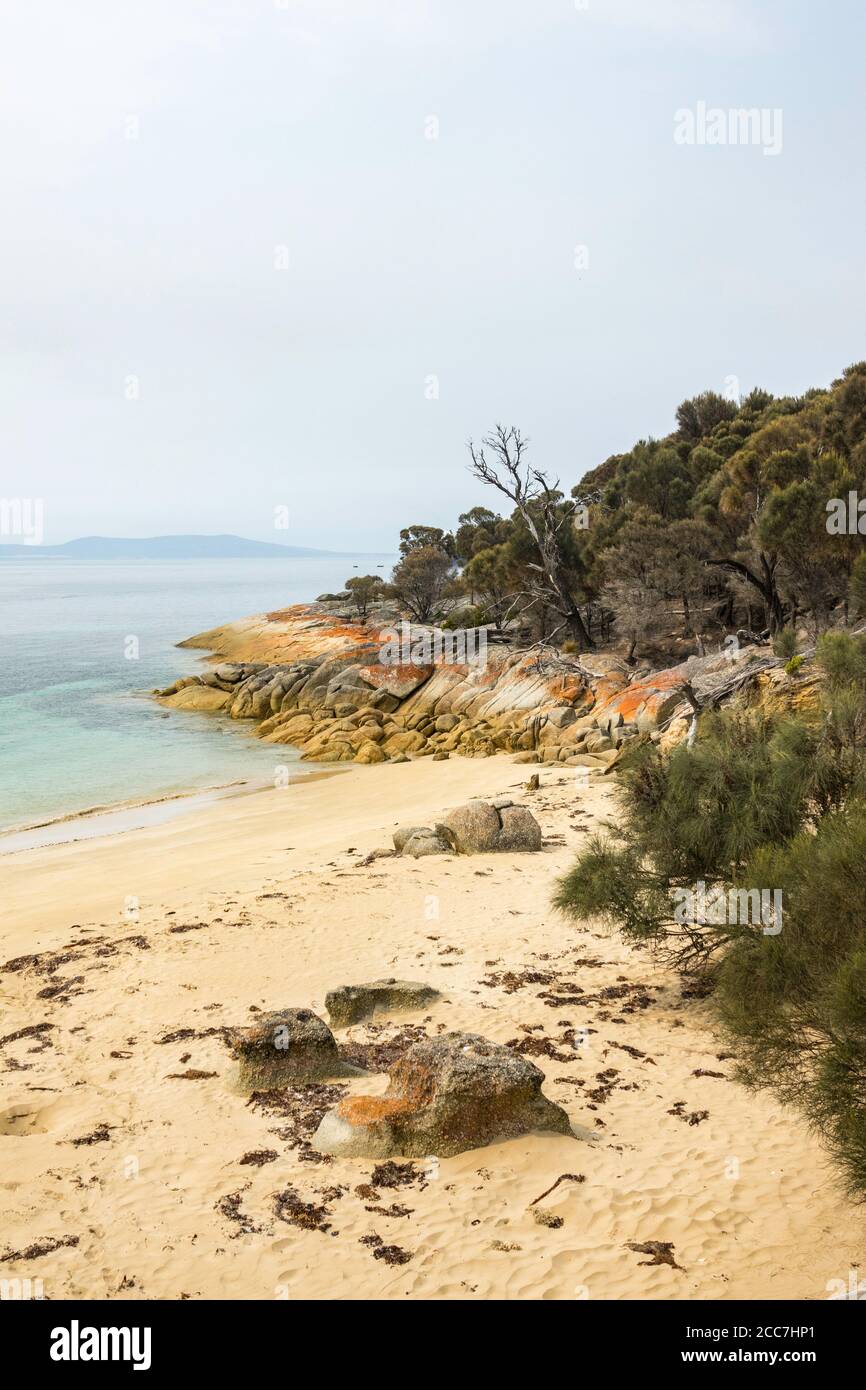 Sandstrand in Trousers Point, Flinders Island, Furneaux Group, Tasmanien Stockfoto