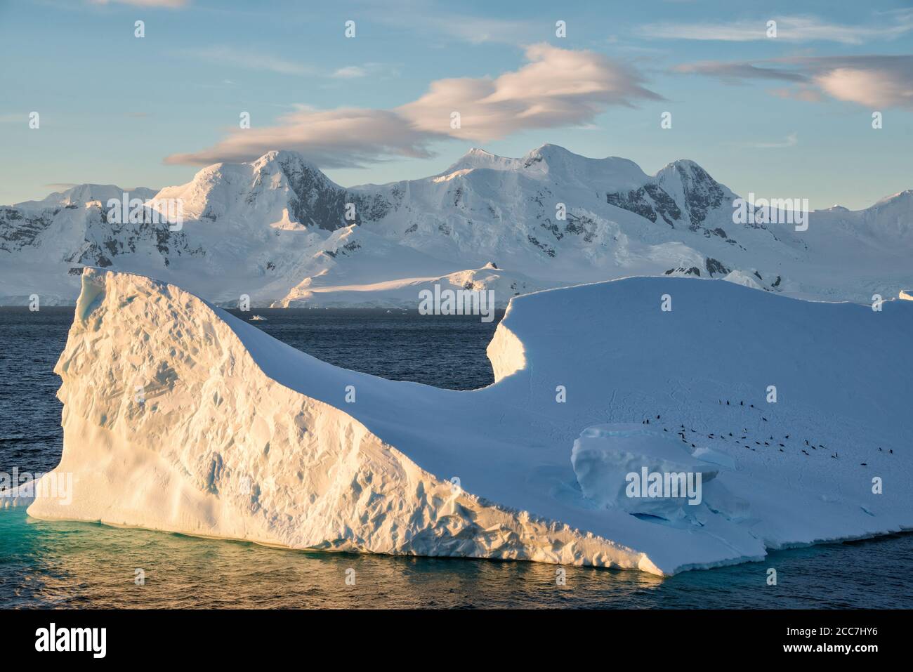 Eine Gruppe von Chinstrap-Pinguinen (Pygoscelis antarcticus), die auf einem massiven Eisberg ruht, während die Sonne in der antarktischen Landschaft untergeht. Stockfoto