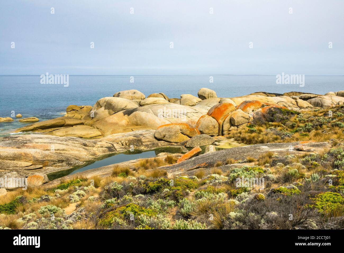 Granitfelsen entlang der Küste von Trousers Point, Flinders Island, Furneaux Group, Tasmanien Stockfoto