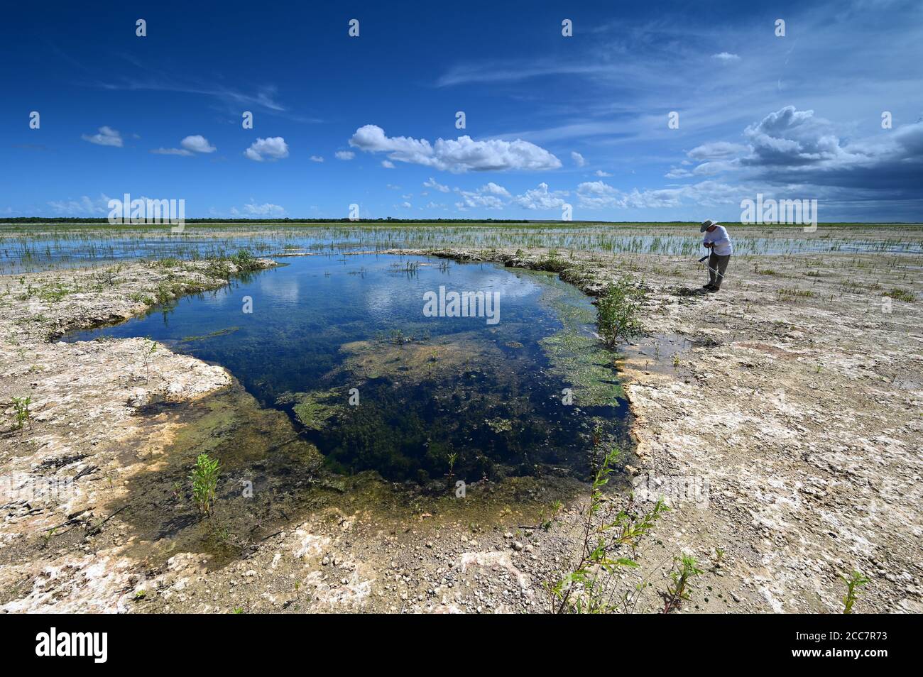 Active Senior erkundet und fotografiert Landschaft von Hole-in-the-Donut Lebensraumrestaurierungsgebiet des Everglades National Park, Florida. Stockfoto