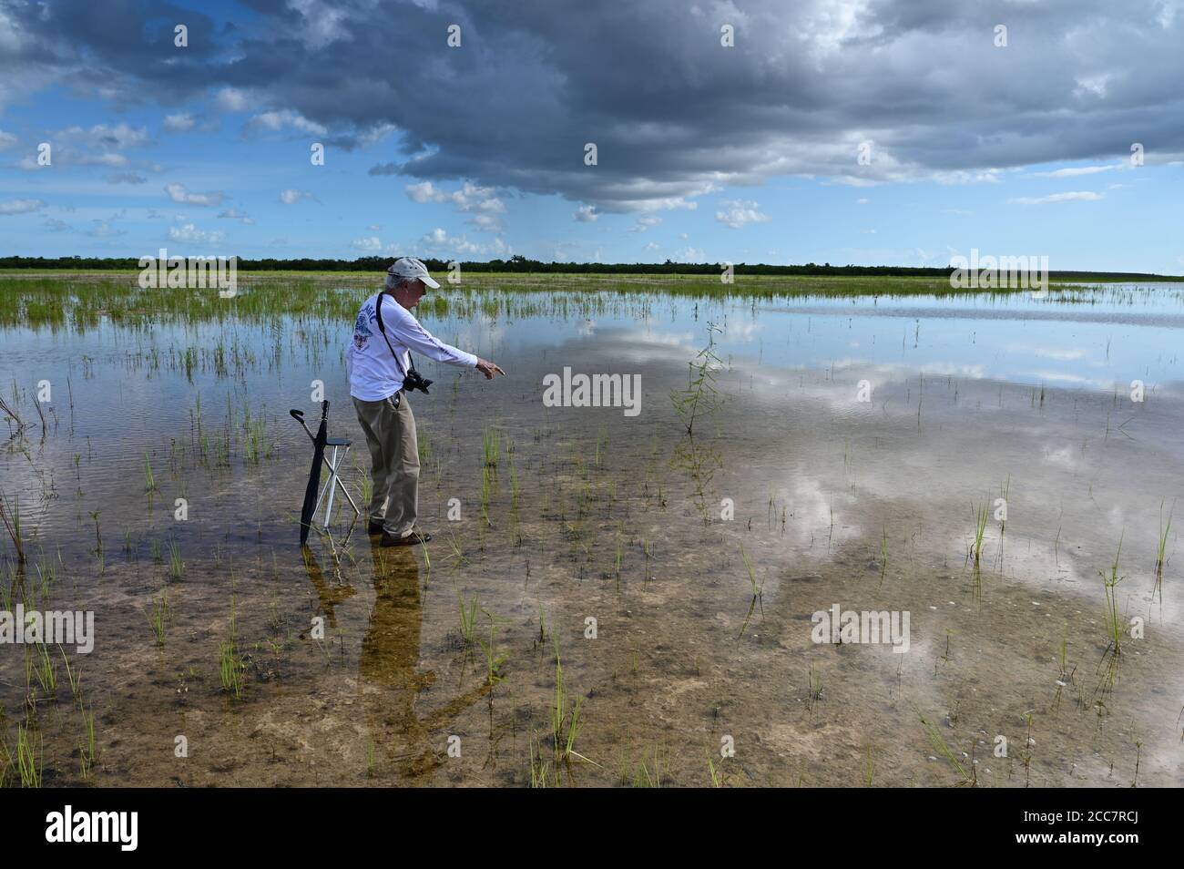 Active Senior erkundet und fotografiert Landschaft von Hole-in-the-Donut Lebensraumrestaurierungsgebiet des Everglades National Park, Florida. Stockfoto