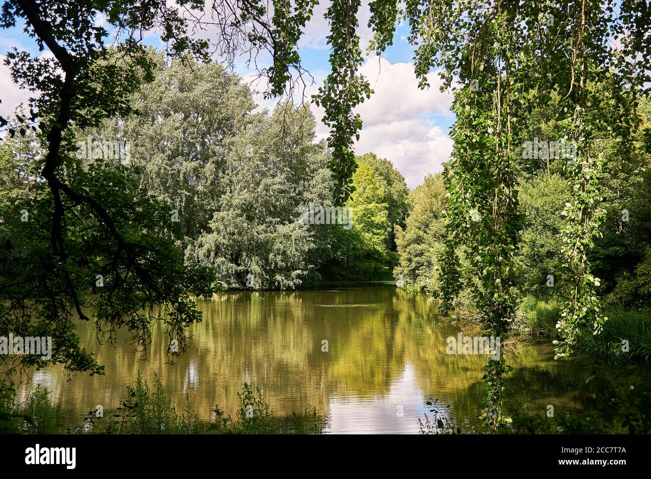 Sommer im Battersea Park Stockfoto