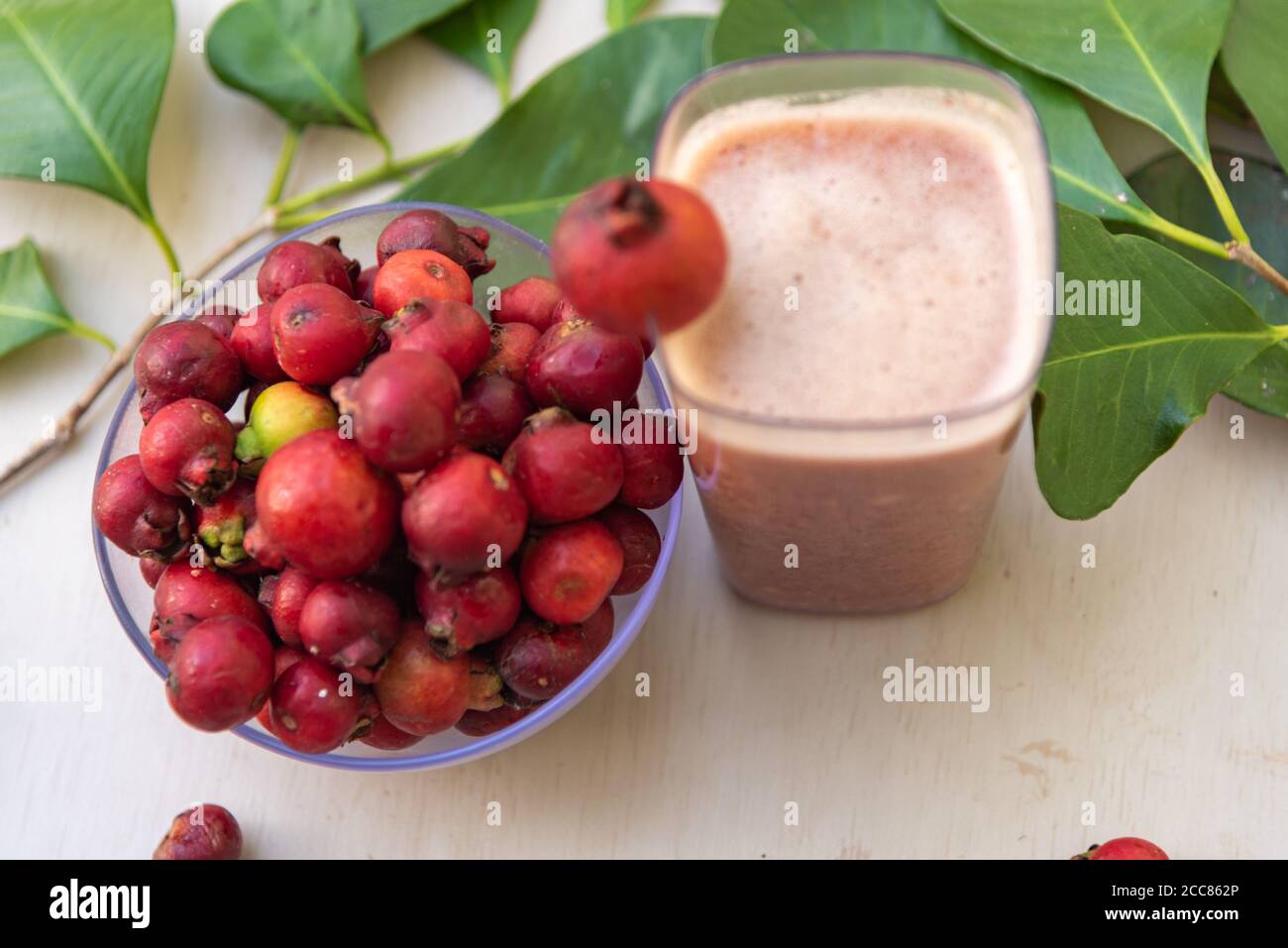 Früchte und Saft von araçazeiro, einer Myrtaceae, die in der Wildnis Brasiliens zu finden ist, von Bahia bis Rio Grande do Sul. Der Name stammt von den Tupi Guarani und mea Stockfoto