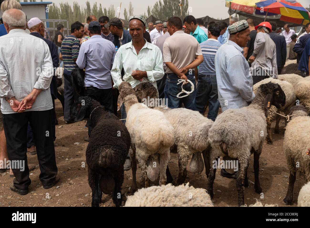 KASHGAR, CHINA: Ein uigurischer Mann versucht, seine Schafe auf dem sonntagsmarkt in der Nähe von Kashgar in der Autonomen Region Xinjiang zu verkaufen Stockfoto