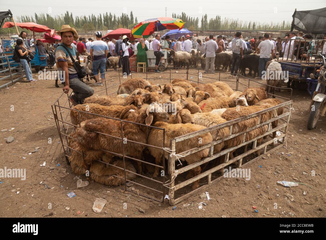 KASHGAR, CHINA: Ein uigurischer Mann, der auf dem Sonntagsmarkt in der Nähe von Kashgar in der Autonomen Region Xinjiang Schafe verkauft Stockfoto