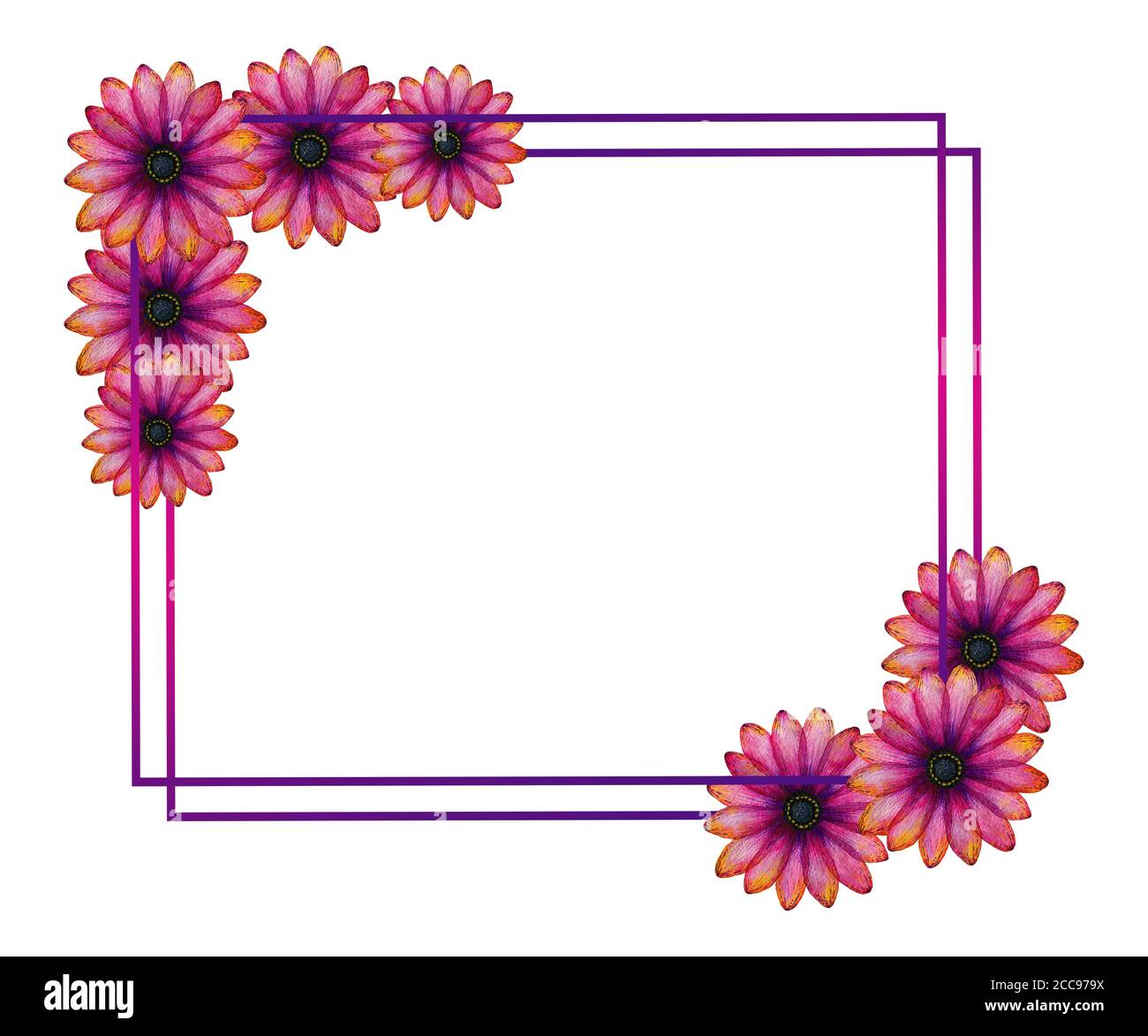 Rosa und lila Gänseblümchen Blumen Rahmendesign, handgezeichnete botanische Illustration in lebendigen rosa und lila Farbtönen, Blumendekoration für Karte, Einladung Stockfoto