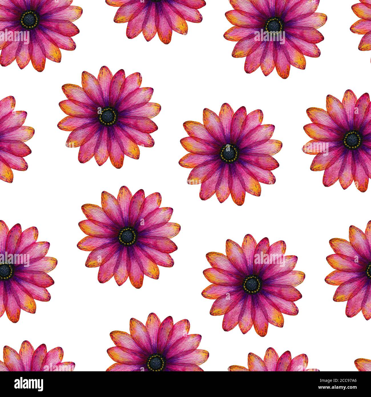 Nahtlose Blumenmuster Mit Lebendigen Rosa Und Lila Ganseblumchen Blumen Bunte Handgezeichnete Florale Illustration Fur Hintergrunde Stoff Verpackung Stockfotografie Alamy