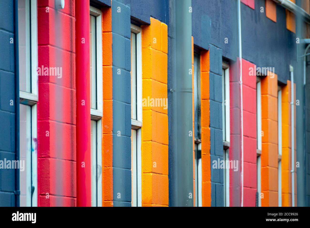 Farbenfrohe Wandanstriche mit Fenstern, Wellington, Nordinsel, Neuseeland Stockfoto