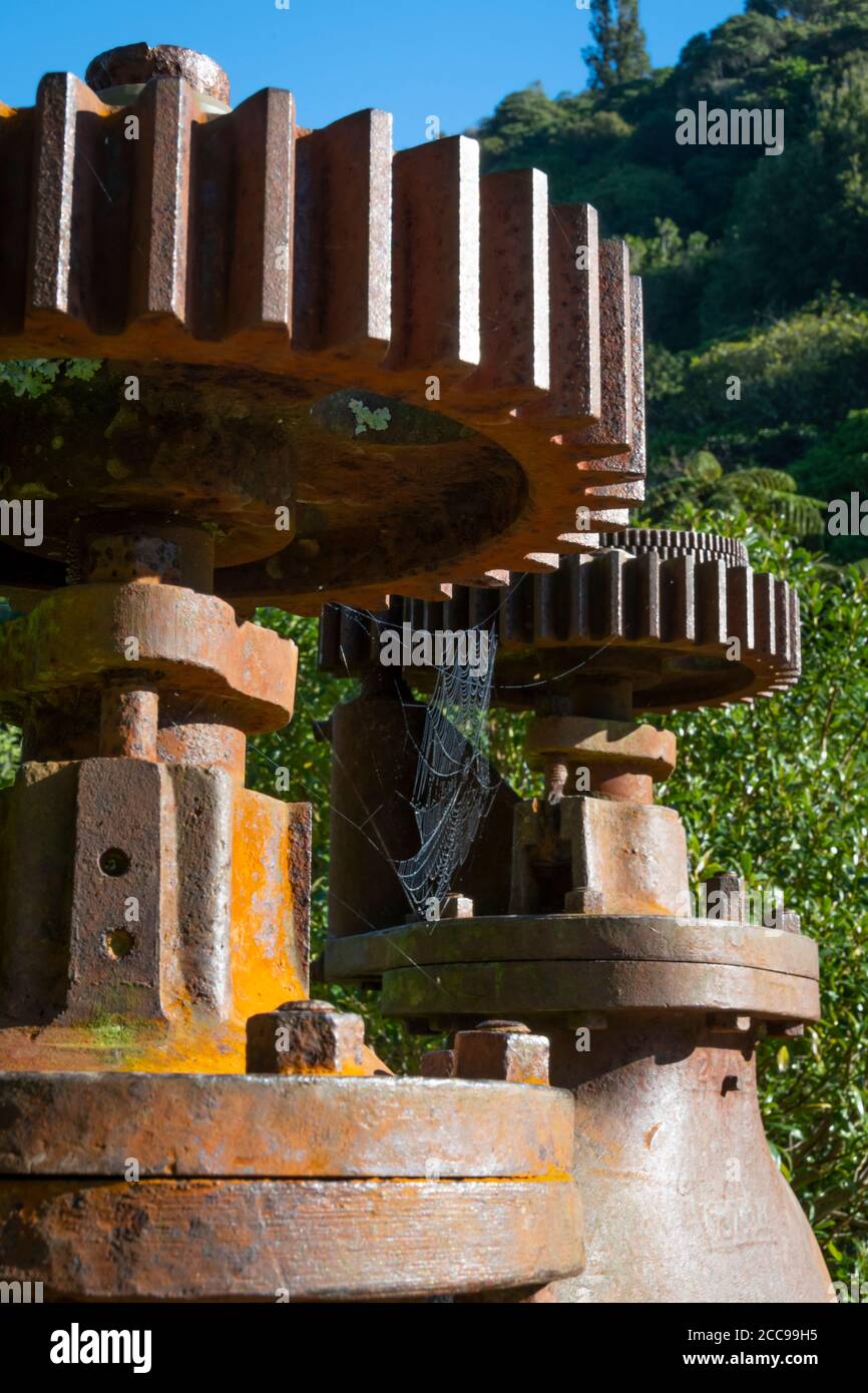 Zealandia, Wellington, Nordinsel, Neuseeland Stockfoto