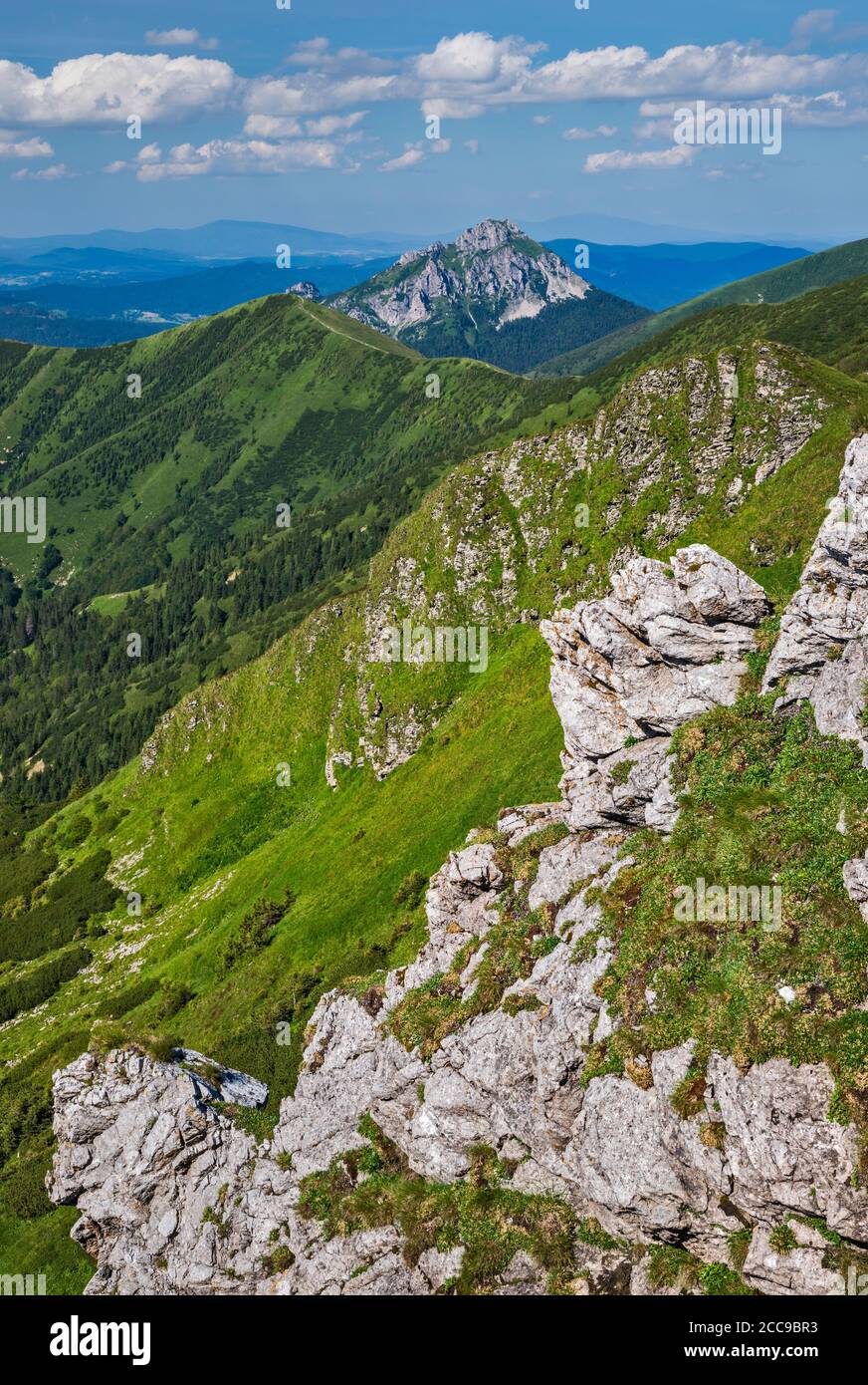 Velky Rozsutec Berg in der Ferne, Dolomit-Kalkstein-Felsformationen, Weg zum Gipfel Chleb, Mala Fatra Nationalpark, Zilina Region, Slowakei Stockfoto