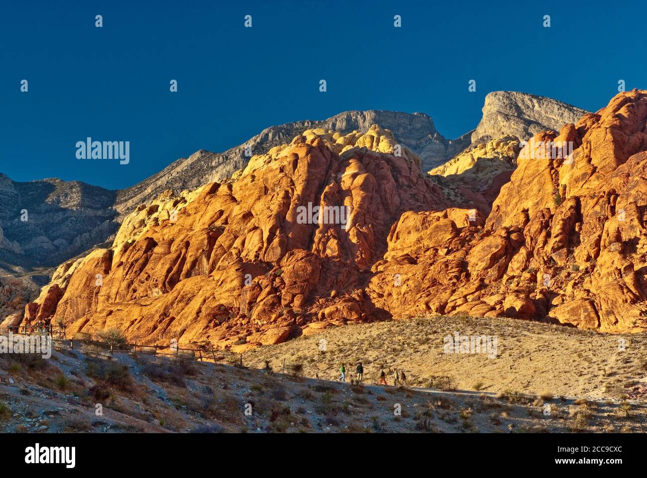 Touristen an Sandsteinfelsen von Calico Hills, Sonnenuntergang, Red Rock Canyon Bereich in Mojave Wüste in der Nähe von Las Vegas, Nevada, USA Stockfoto