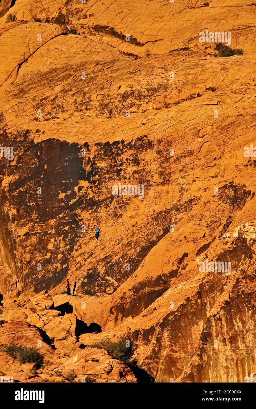 Felskletterer an der Sandsteinwand in Calico Hills, Sonnenuntergang, Red Rock Canyon Gebiet in Mojave Wüste in der Nähe von Las Vegas, Nevada, USA Stockfoto