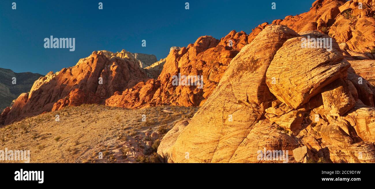 Aufschluss aus Azteken-Sandstein in Calico Hills, Sonnenuntergang im Red Rock Canyon Gebiet in der Mojave Wüste in der Nähe von Las Vegas, Nevada, USA Stockfoto