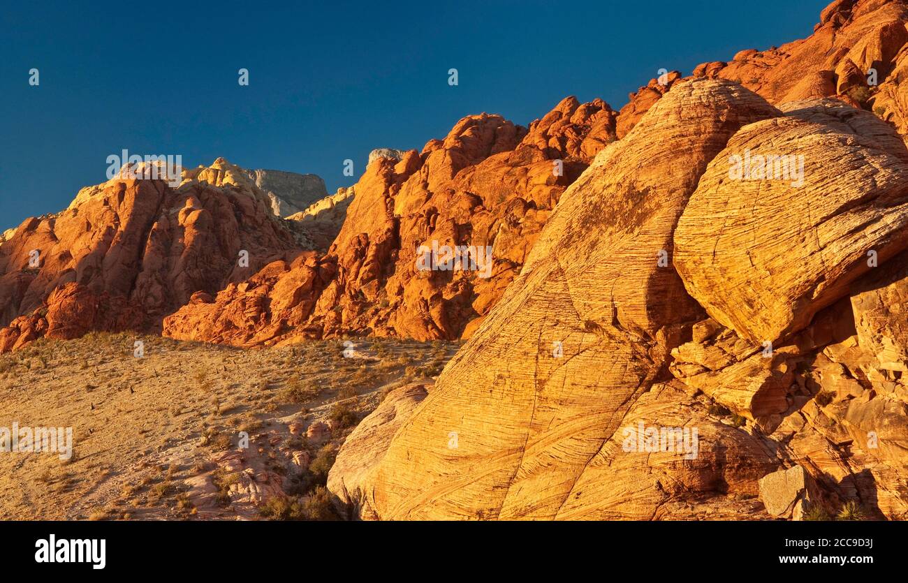 Aufschluss aus Azteken-Sandstein in Calico Hills, Sonnenuntergang im Red Rock Canyon Gebiet in der Mojave Wüste in der Nähe von Las Vegas, Nevada, USA Stockfoto