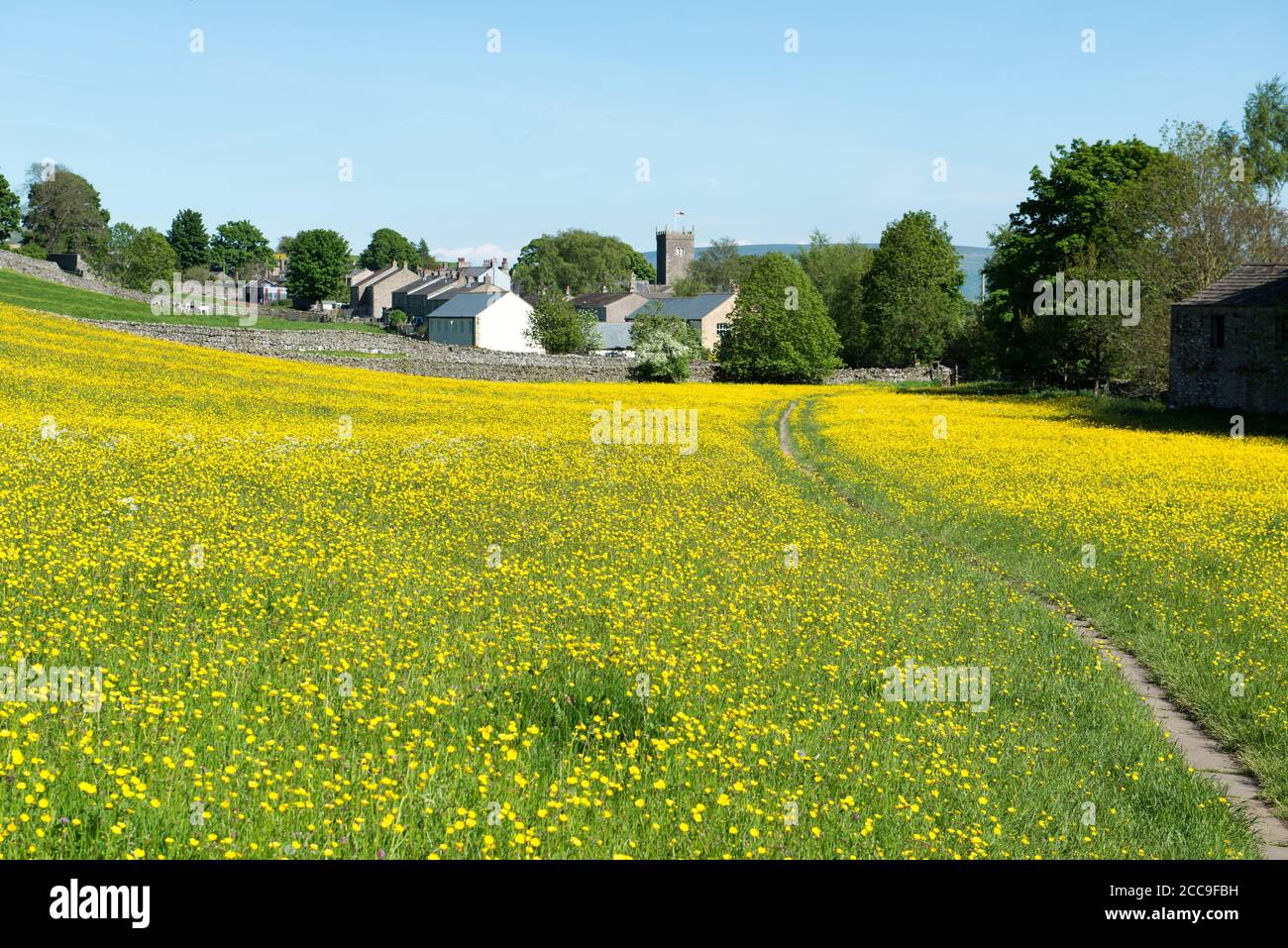 Blick auf einen Fußweg durch eine Butterwiese in voller Höhe Blume, die in Richtung Yorkshire Dales Dorf Askrigg führt Stockfoto