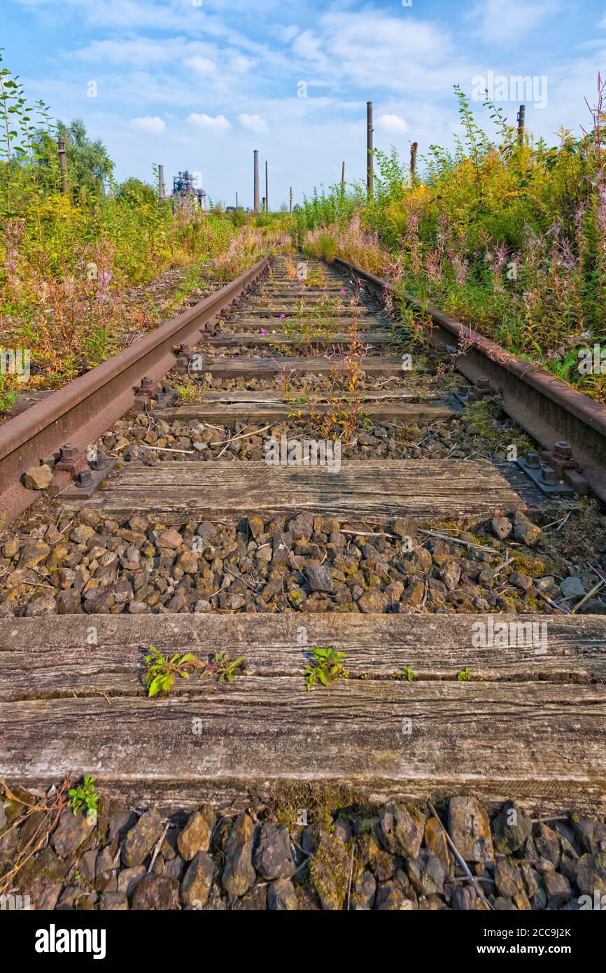 Die Natur nimmt verlassene Industriegebiete zurück; Pflanzen wachsen über alten rostigen Schienen Stockfoto