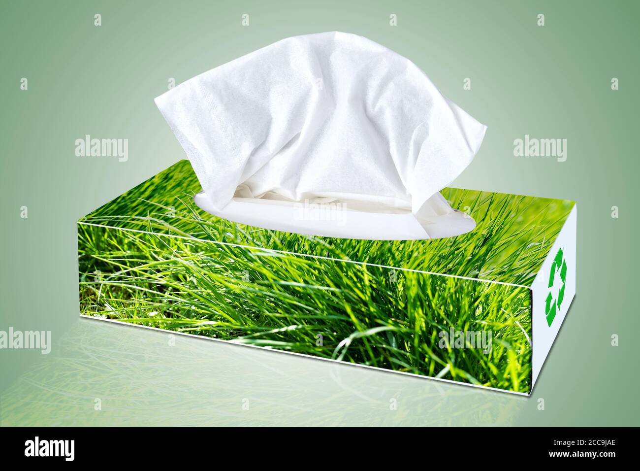 Blankogewebe aus Kosmetiktücher Box mit grünem Gras illustriert Einrichtung Stockfoto