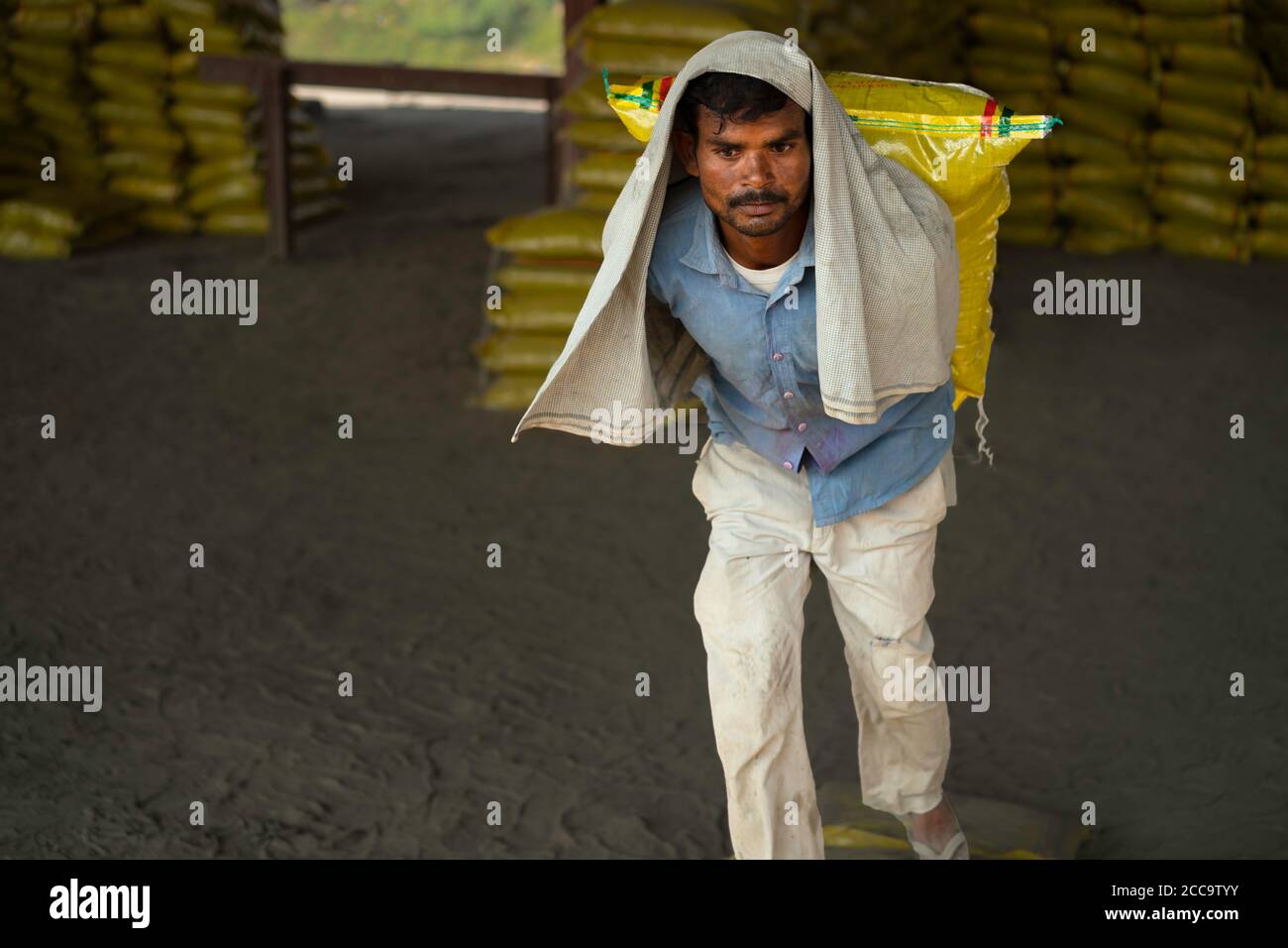 Am 14. Oktober 2019 in Mathura, Uttar Pradesh, Indien, arbeitet der Mann daran, den Zementsack unter staubigen Bedingungen aus dem Zug zu entladen. Stockfoto