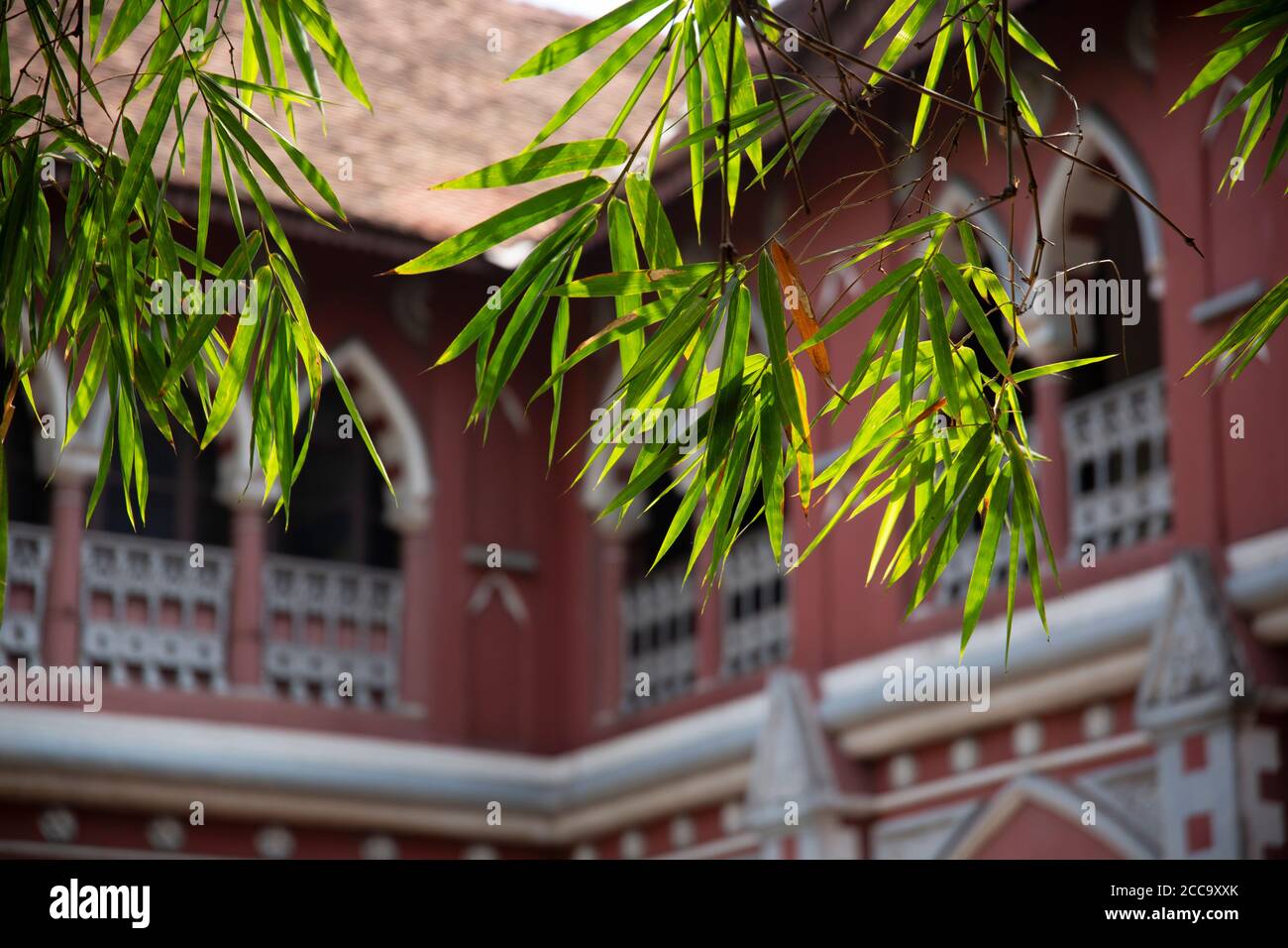 College of Fine Arts, Thiruvananthapuram Stockfoto