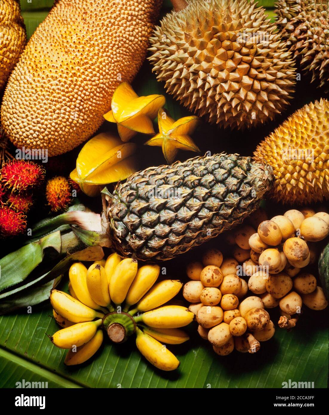 Tropische Obstsorten aus Südostasien Stockfoto