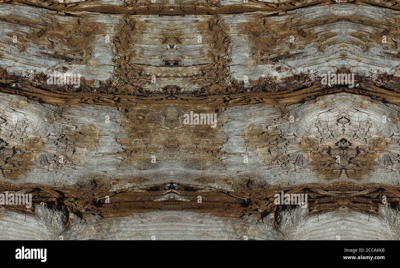 Holz Textur Muster Hintergrund Foto Stockfoto