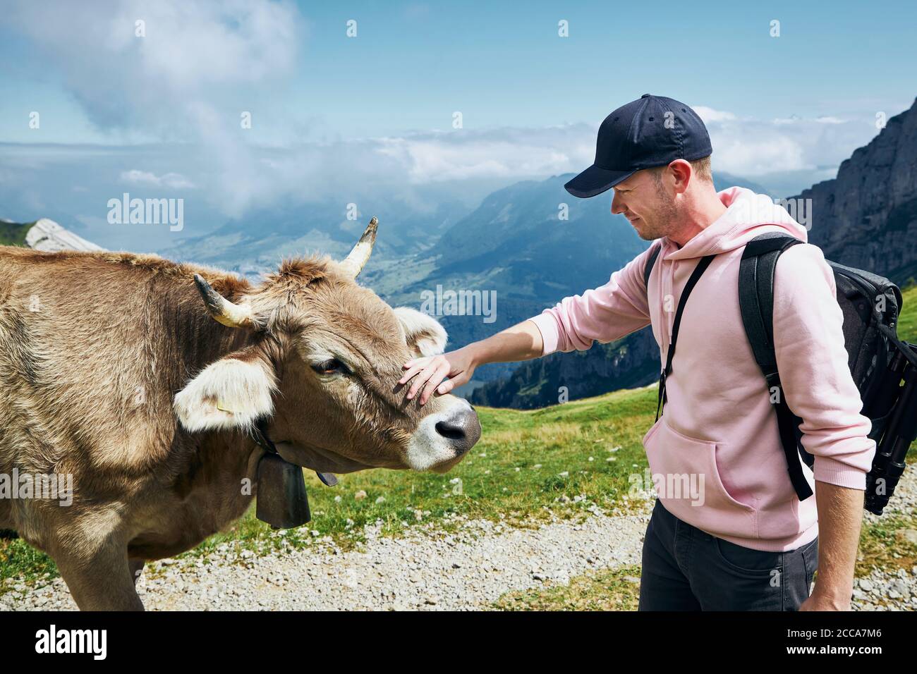 Junger Mann streichelte schweizer Kuh auf Bergwanderweg. Pilatus, Luzern, Schweiz. Stockfoto