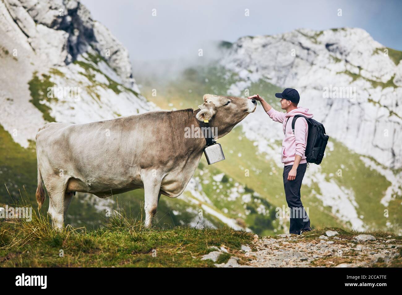 Junger Mann streichelte schweizer Kuh auf Bergwanderweg. Pilatus, Luzern, Schweiz. Stockfoto