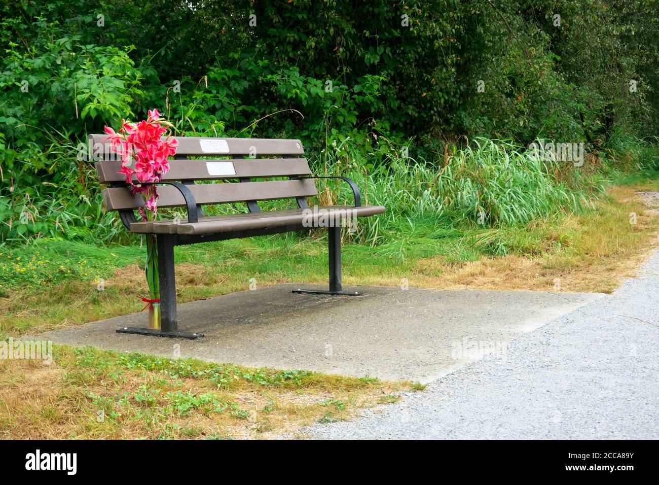 Eine Gedenkbank mit einer Vase mit Gladiolus-Blumen in einer natürlichen Umgebung entlang eines Pfades in einem lokalen Park. Stockfoto