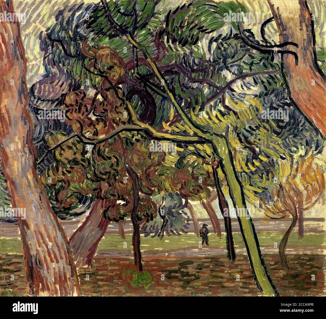 Pinien im Garten der Anstalt. Museum: Kröller-Müller Museum, Otterlo. AUTOR: VINCENT VAN GOGH. Stockfoto