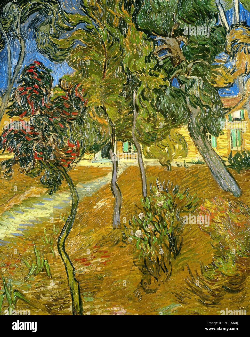 Bäume im Garten der Anstalt. Museum: PRIVATE SAMMLUNG. AUTOR: VINCENT VAN GOGH. Stockfoto